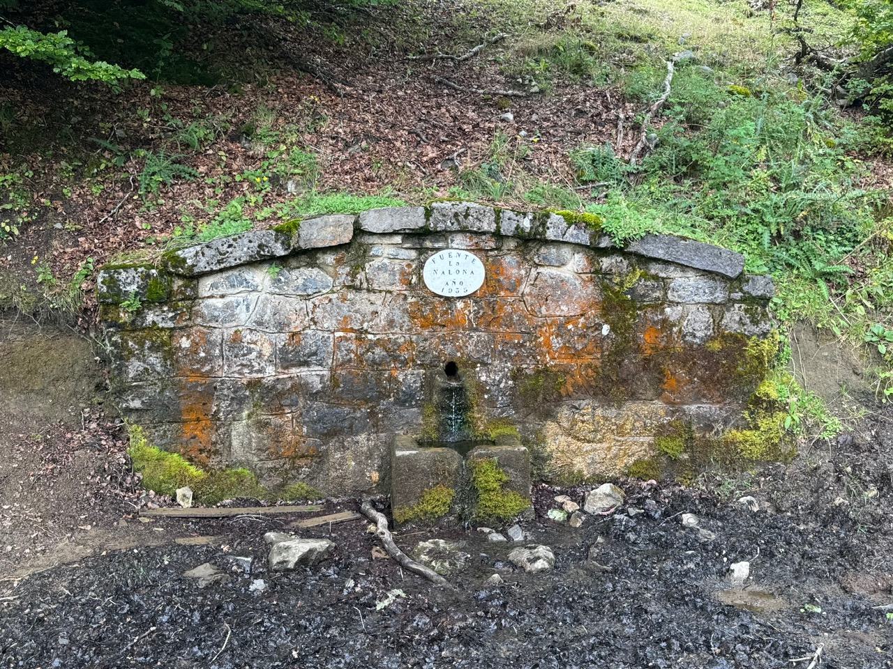 Fuente La Nalona, nacimiento del río Nalón