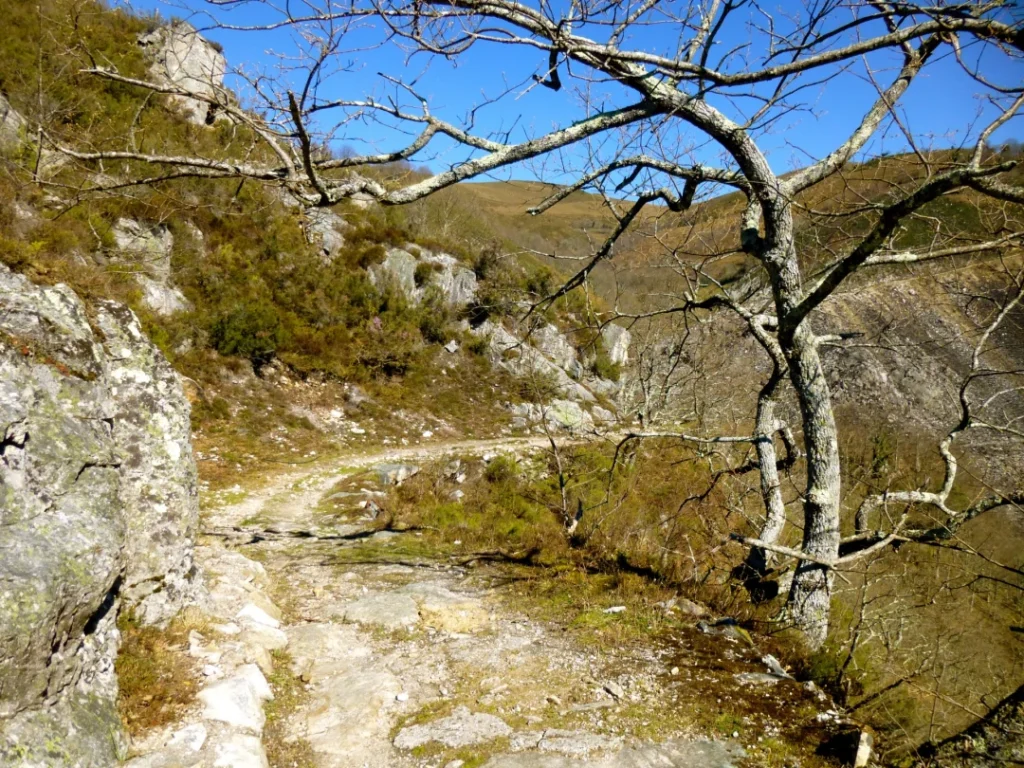 Ruta de la Calzada Romana (PR-AS 122)