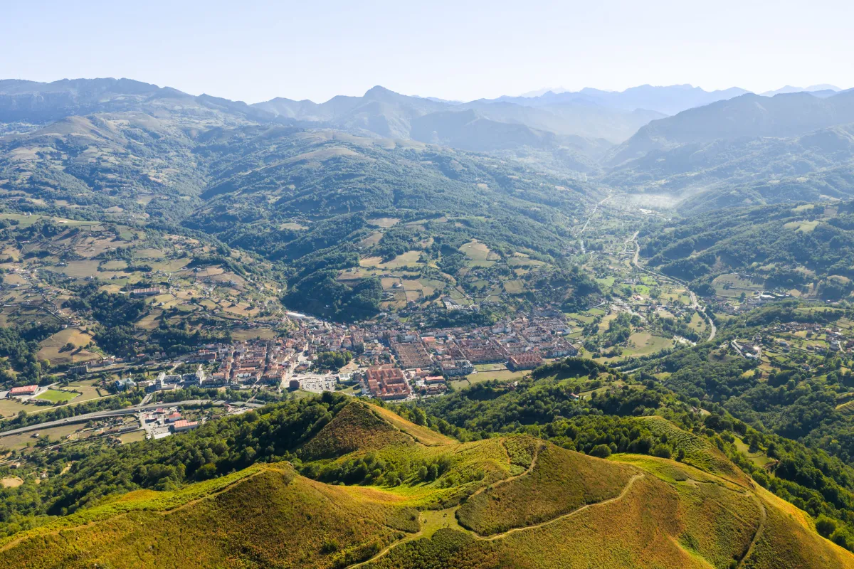 Laviana